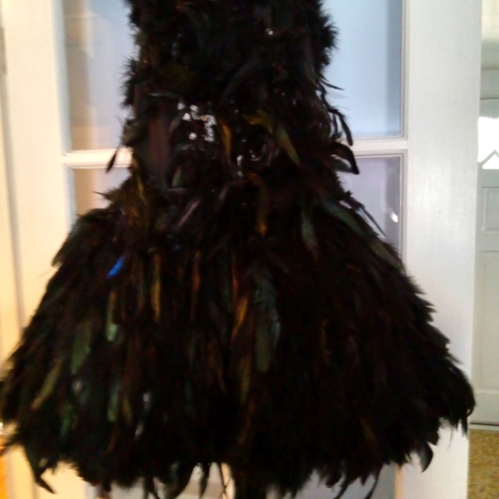 Handmade Fairy Feather COSTUME no wings - Picture 6 of 7